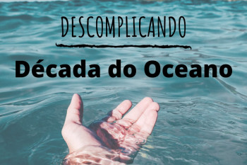 Década do Oceano: 10 anos para nunca mais tirarmos os olhos do mar