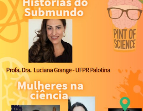 Captura de tela 2025 05 16 161910 v2