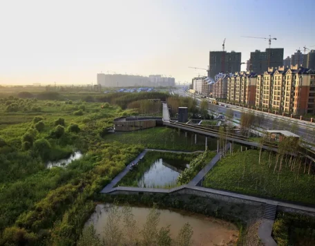 Qunli07