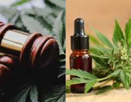 cannabis v2