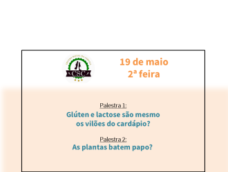 capa dia19