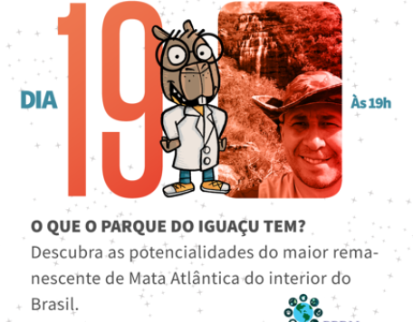 dia 1