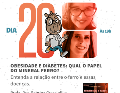 dia 2