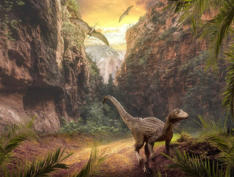 dinosaur