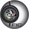 Federação Internacional de Capoeira
